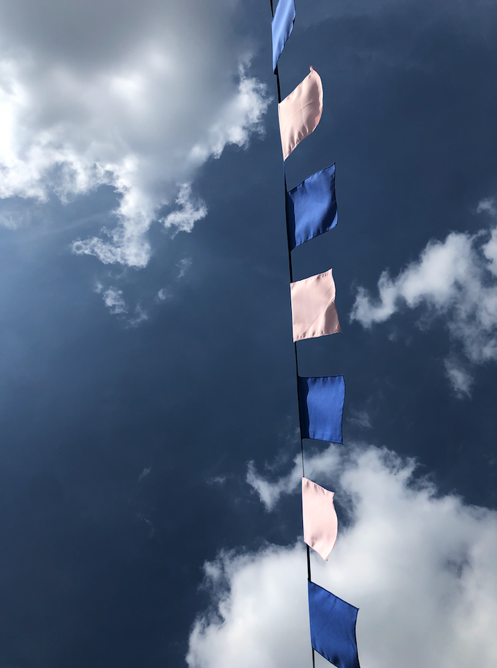 Rechthoekige vlag licht roze/blauw