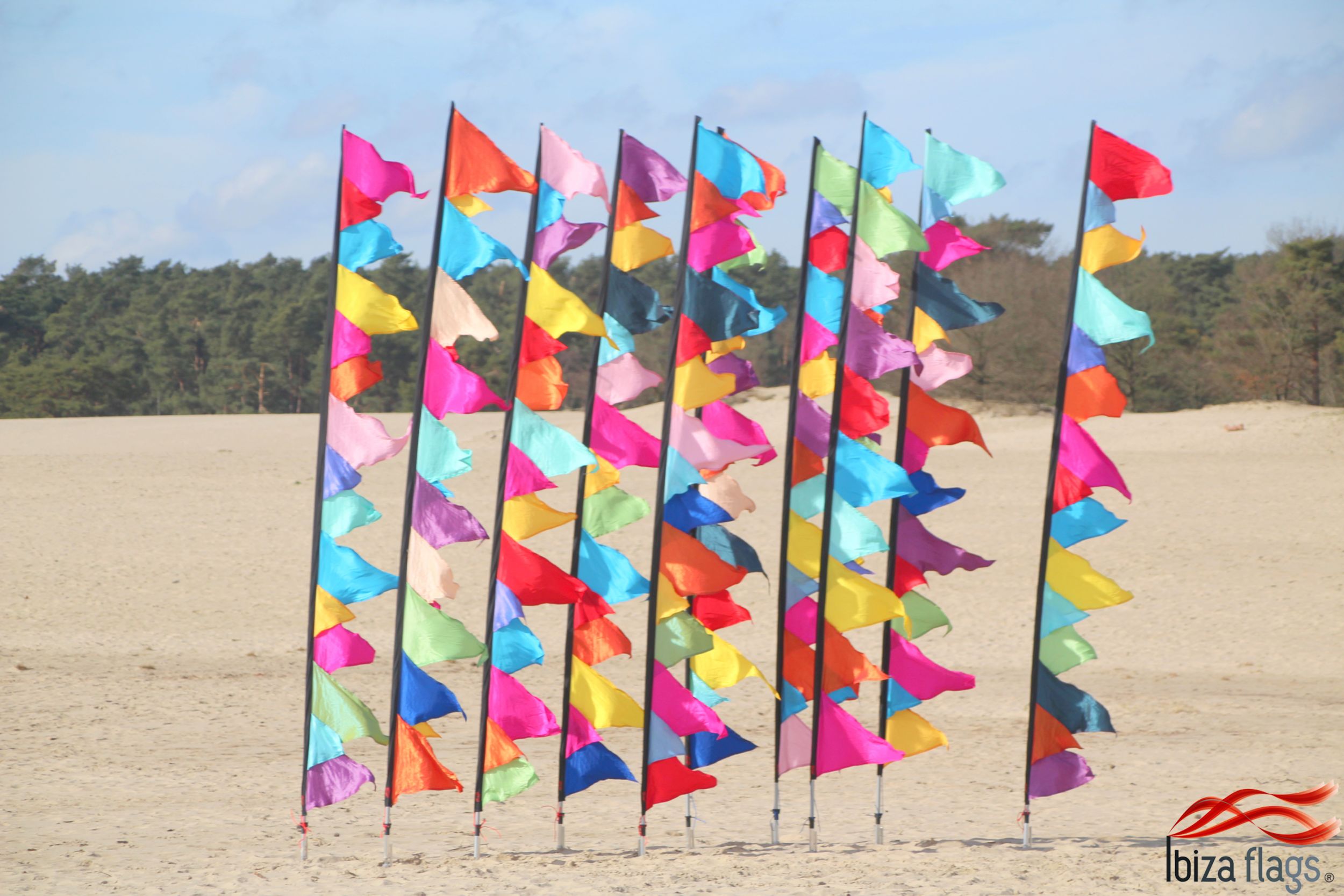10 gekleurde festival vlaggen huren