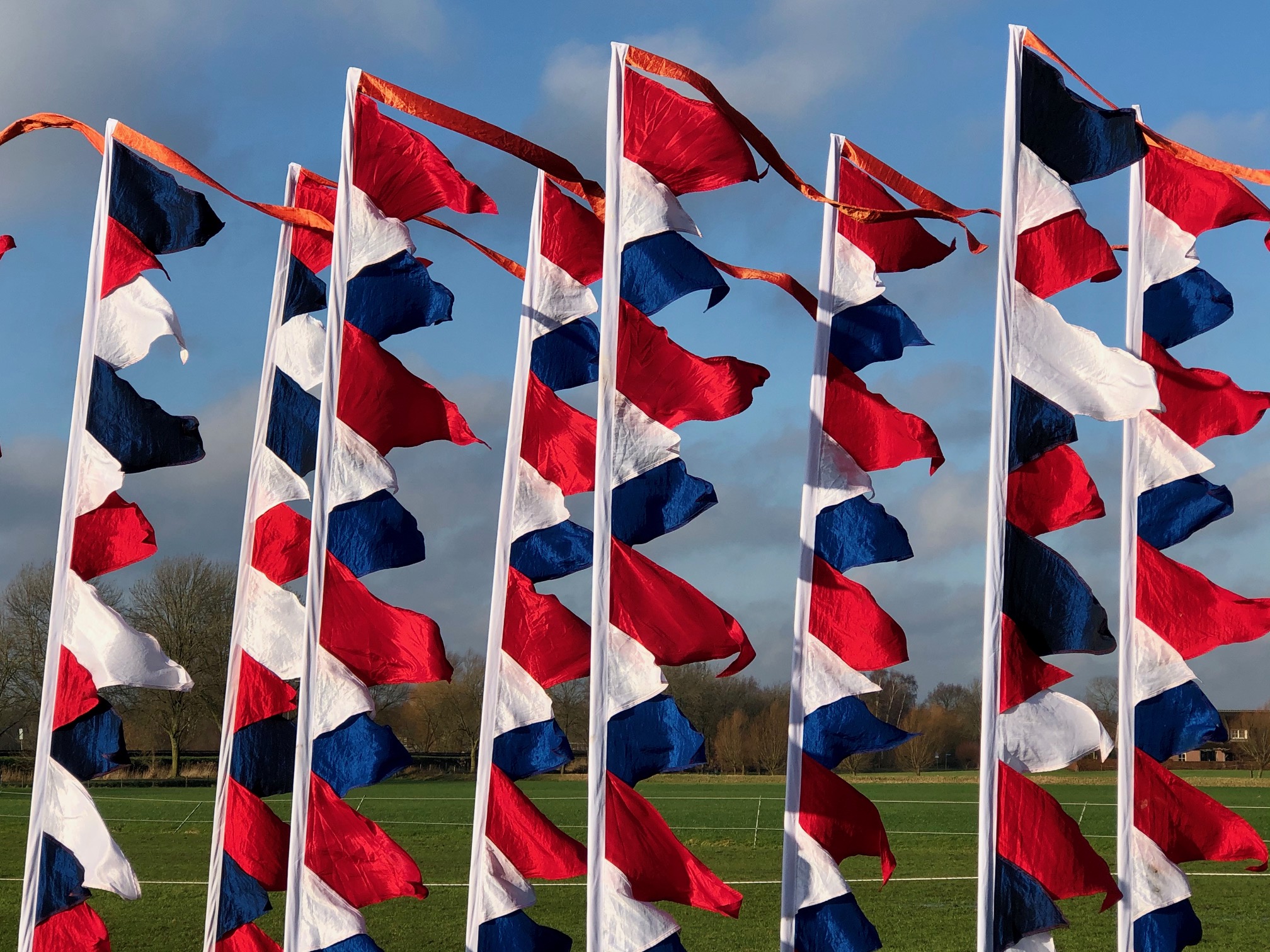 10 festivalvlaggen Rood-Wit-Blauw huren