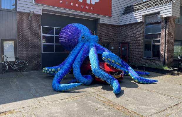 Octopus 8m Blue
