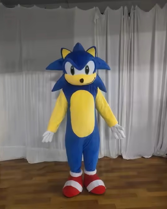 Sonic Kostuum 