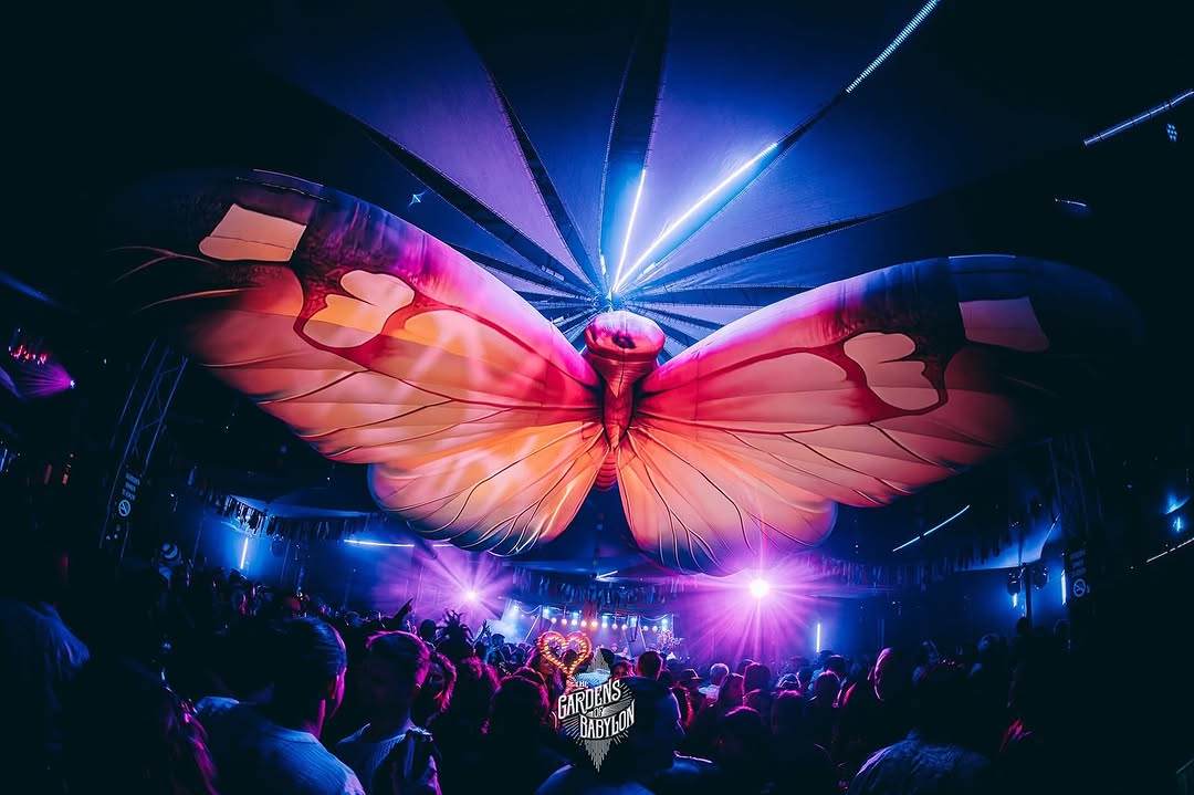 Butterfly 5m