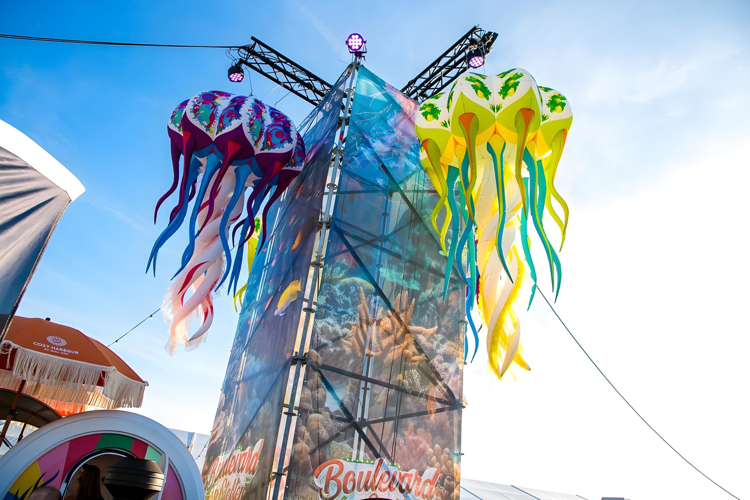 Jellyfish