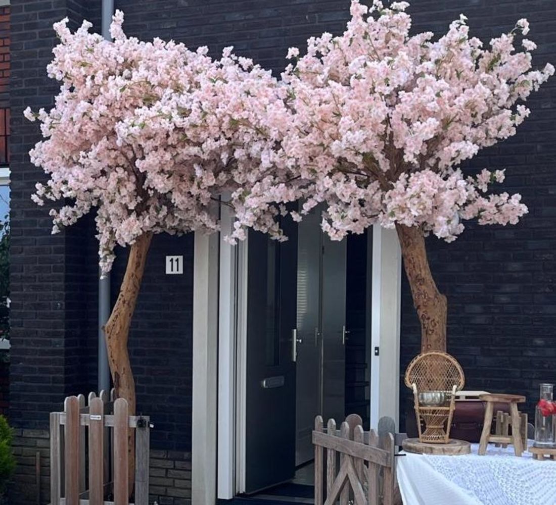 Bloesem bomen