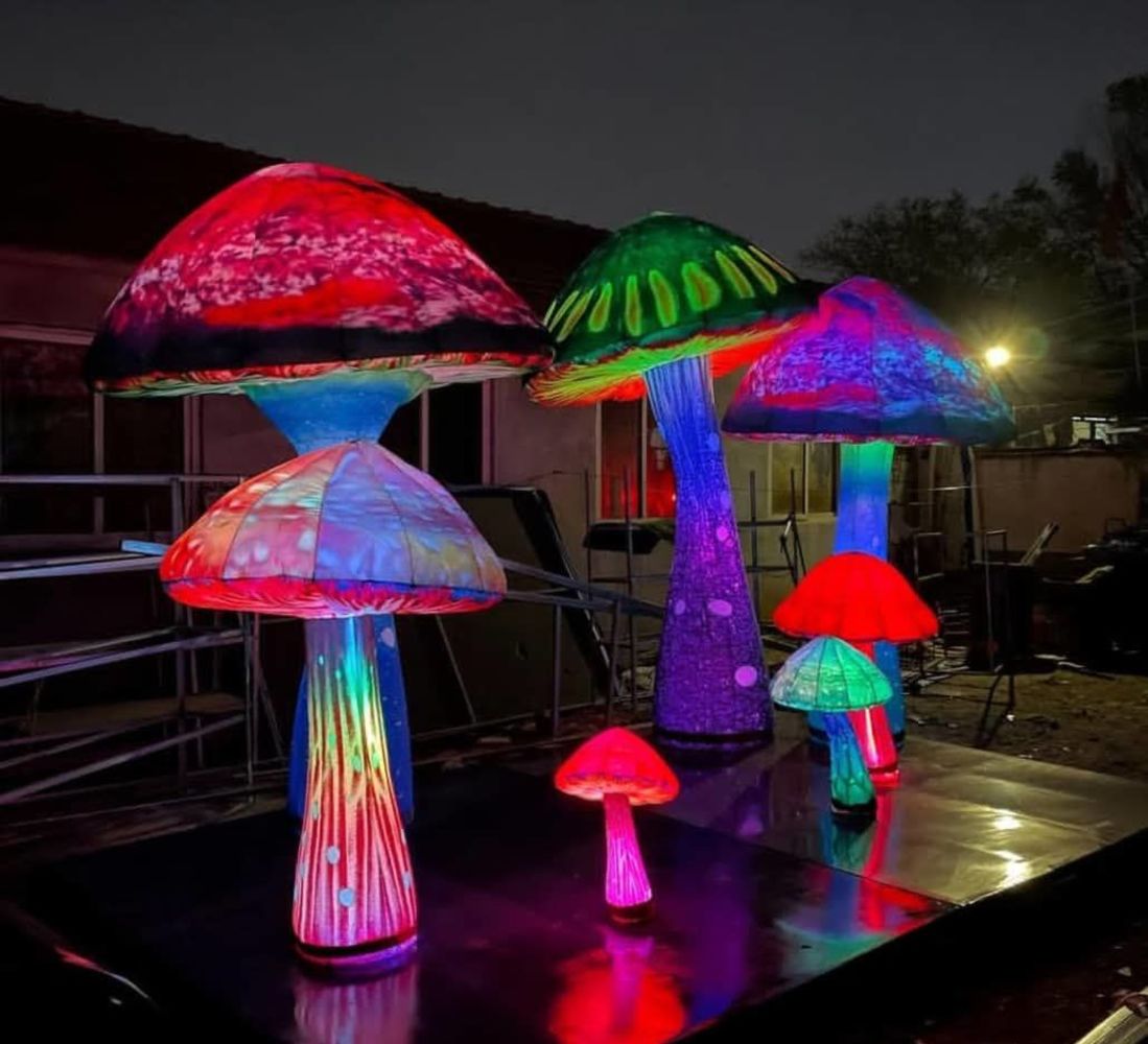 Paddenstoelen set inflatable