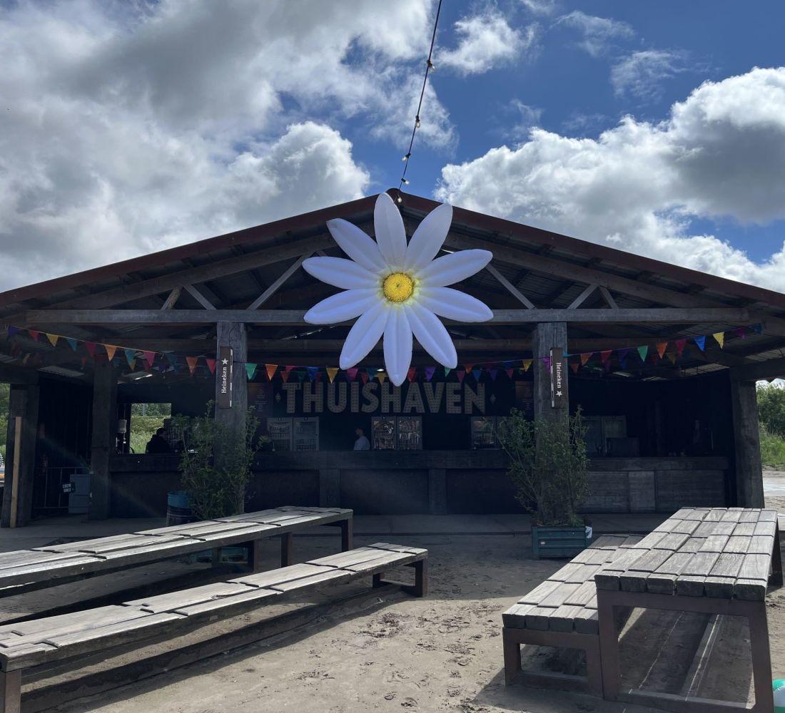 Daisy Flower 3m