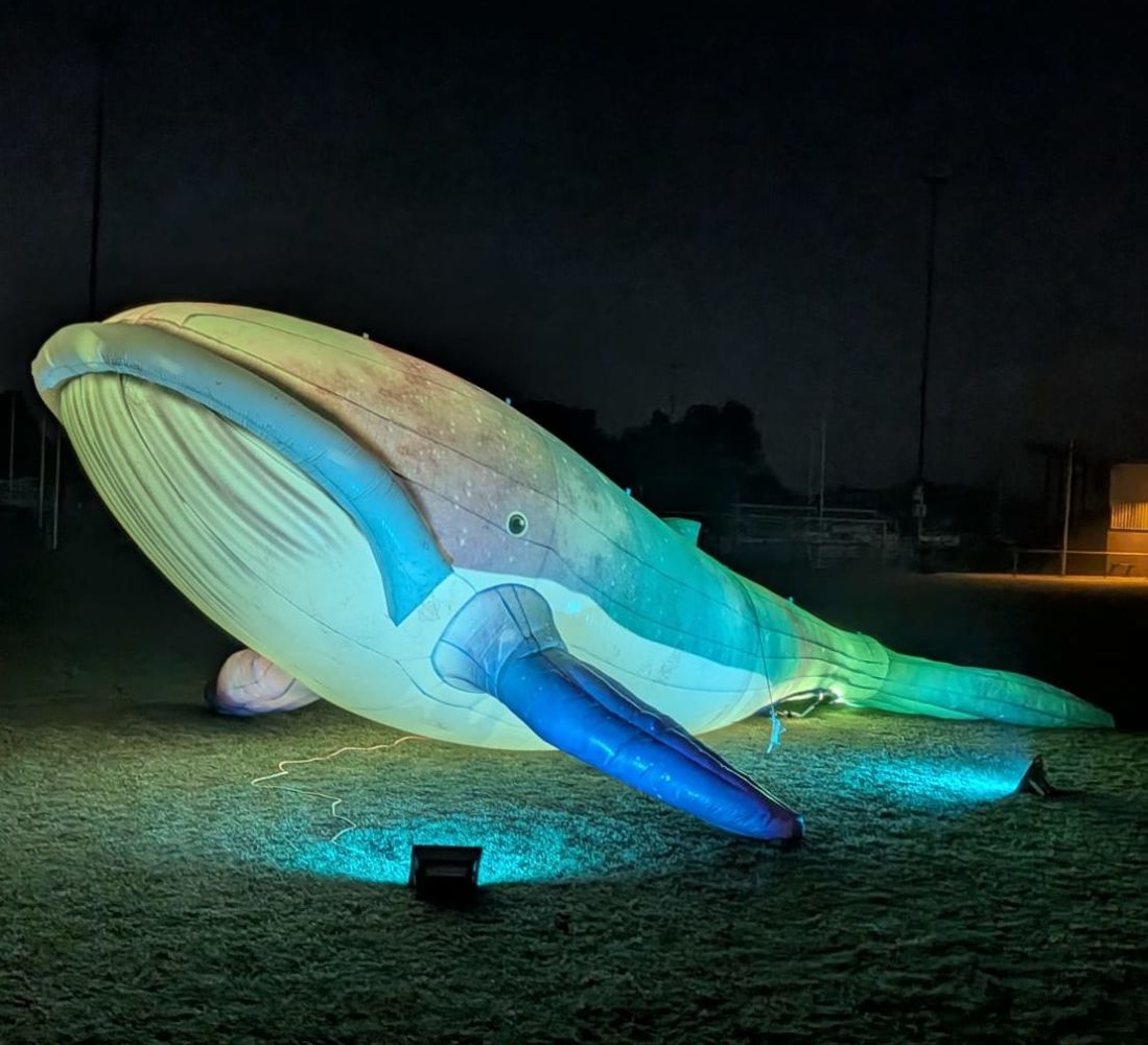 Walvis met LED